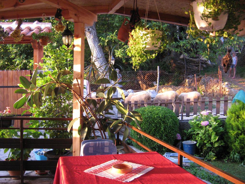 Risto'S Guest House Elshani Exterior photo