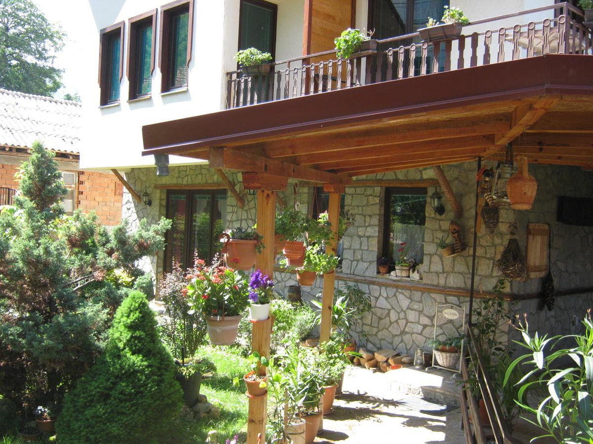 Risto'S Guest House Elshani Exterior photo